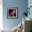 Fireworks Explode over the Olympic Rings During the Opening Ceremony of the Vancouver 2010 Olympics-null-Framed Photographic Print displayed on a wall