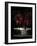 Fireworks Explode Over the White House-Stocktrek Images-Framed Photographic Print