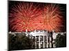 Fireworks Explode Over the White House-null-Mounted Photographic Print