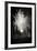 Fireworks I-Tammy Putman-Framed Photographic Print