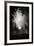 Fireworks I-Tammy Putman-Framed Photographic Print