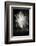 Fireworks I-Tammy Putman-Framed Photographic Print