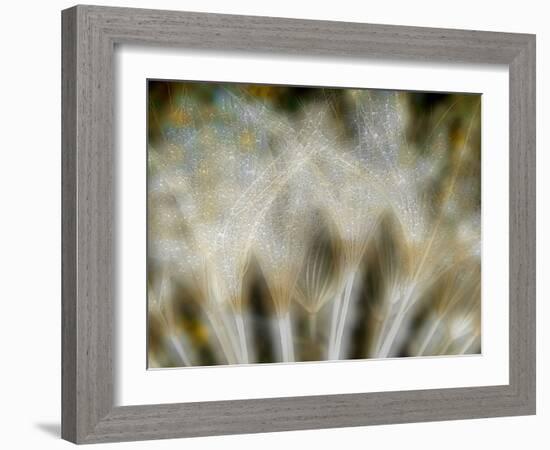 Fireworks nature...-Thierry Dufour-Framed Photographic Print