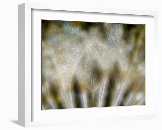 Fireworks nature...-Thierry Dufour-Framed Photographic Print