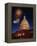 Fireworks over U.S. Capitol-Bill Ross-Framed Premier Image Canvas