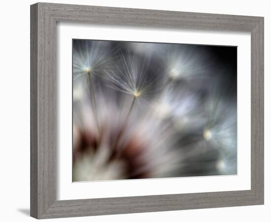 Fireworks-Ursula Abresch-Framed Photographic Print