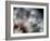 Fireworks-Ursula Abresch-Framed Photographic Print