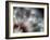 Fireworks-Ursula Abresch-Framed Photographic Print