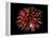 Fireworks-Magrath Photography-Framed Premier Image Canvas