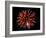 Fireworks-Magrath Photography-Framed Photographic Print