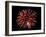 Fireworks-Magrath Photography-Framed Photographic Print