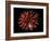 Fireworks-Magrath Photography-Framed Photographic Print