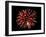 Fireworks-Magrath Photography-Framed Photographic Print