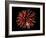 Fireworks-Magrath Photography-Framed Photographic Print