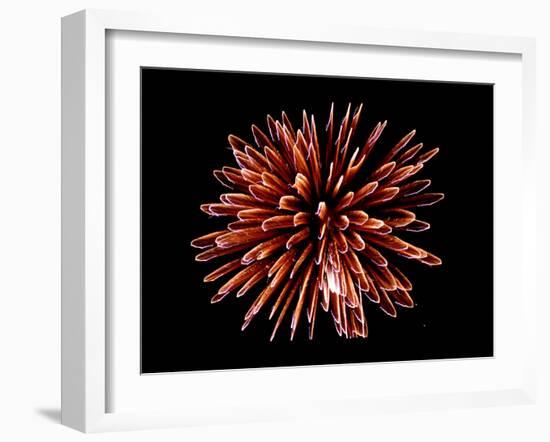 Fireworks-Magrath Photography-Framed Photographic Print