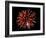 Fireworks-Magrath Photography-Framed Photographic Print