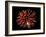 Fireworks-Magrath Photography-Framed Photographic Print