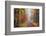 Fireworks-Viviane Fedieu Daniel-Framed Photographic Print