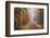 Fireworks-Viviane Fedieu Daniel-Framed Photographic Print