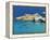 Firopotamos, Milos, Cyclades Islands, Greek Islands, Aegean Sea, Greece, Europe-Tuul-Framed Premier Image Canvas