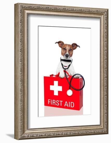 First Aid Dog-Javier Brosch-Framed Photographic Print