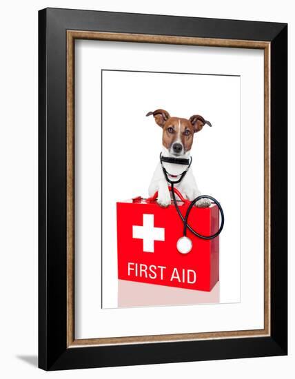 First Aid Dog-Javier Brosch-Framed Photographic Print