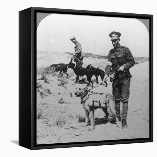 First Aid Dogs, World War I, C1914-C1918-null-Framed Premier Image Canvas