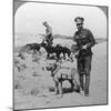 First Aid Dogs, World War I, C1914-C1918-null-Mounted Photographic Print
