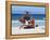 First Aid Medical Helicopter Lands on the Beach, South Africa, Africa-Yadid Levy-Framed Premier Image Canvas