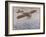 First Air Crossing of the English Channel: Over the Open Sea-H. Delaspre-Framed Art Print