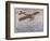 First Air Crossing of the English Channel: Over the Open Sea-H. Delaspre-Framed Art Print