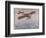 First Air Crossing of the English Channel: Over the Open Sea-H. Delaspre-Framed Art Print