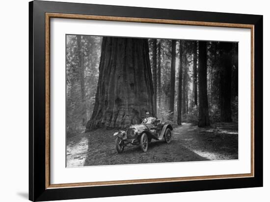 First Auto to Enter Sequoia National Park-null-Framed Art Print