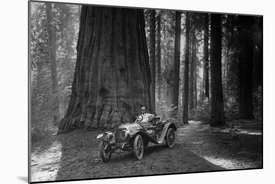 First Auto to Enter Sequoia National Park-null-Mounted Art Print