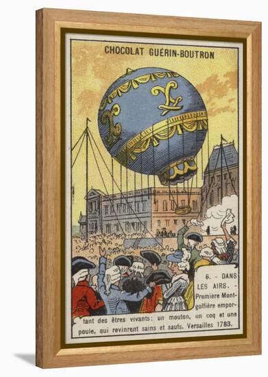 First Balloon Flight Carrying Living Creatures, Versailles, 1783-null-Framed Premier Image Canvas