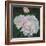 First Blooms, 2012-Helen White-Framed Giclee Print