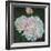 First Blooms, 2012-Helen White-Framed Giclee Print