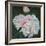 First Blooms, 2012-Helen White-Framed Giclee Print