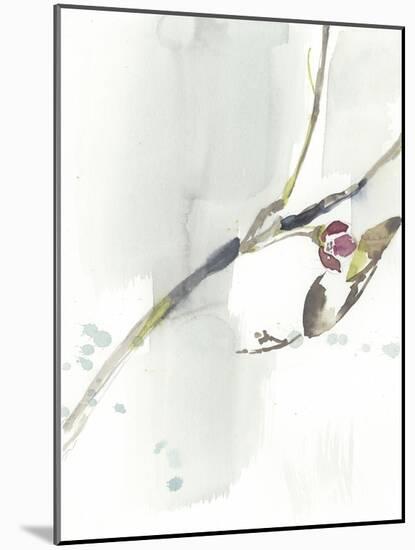 First Blooms IV-Jennifer Goldberger-Mounted Art Print