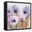 First Blush Blossom-Karin Johannesson-Framed Stretched Canvas