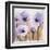 First Blush Blossom-Karin Johannesson-Framed Art Print