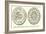 First Coined Money Issued by the United States-English School-Framed Giclee Print