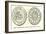 First Coined Money Issued by the United States-English School-Framed Giclee Print