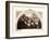 First Council of Queen Victoria, at Kensington Palace, June 20, 1837, Uk-null-Framed Giclee Print