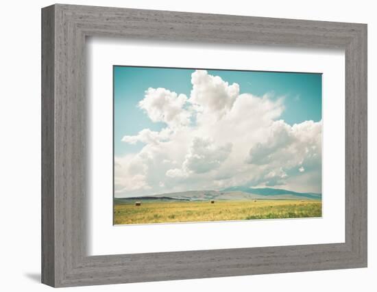 First Cut-Annie Bailey Art-Framed Photographic Print