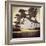 First Dairy-Lance Kuehne-Framed Photographic Print