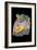 First Date, 2010-Tony Todd-Framed Giclee Print
