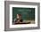 First Day of School-William P. Gottlieb-Framed Photographic Print