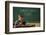 First Day of School-William P. Gottlieb-Framed Photographic Print