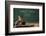 First Day of School-William P. Gottlieb-Framed Photographic Print